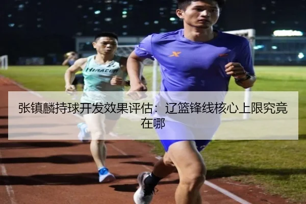 张镇麟持球开发效果评估：辽篮锋线核心上限究竟在哪