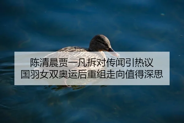陈清晨贾一凡拆对传闻引热议 国羽女双奥运后重组走向值得深思